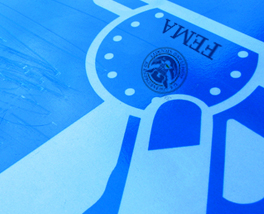 Beware of FEMA Repayments image Article Image