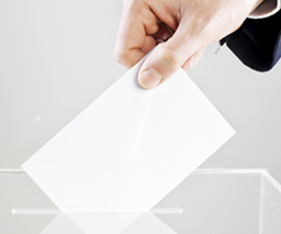 Election Year Dos and Don'ts for a 501(c)(3) image Article Image