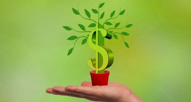 Dealership Management Compensation on Loan Forgiveness image Article Image