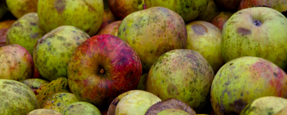 Relief to Bad Apple Rule Could Be Coming to Multiple Employer Plans image Article Image