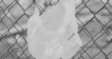 Plastic Ban: The Impact on the Restaurant and Bar Industry image Article Image