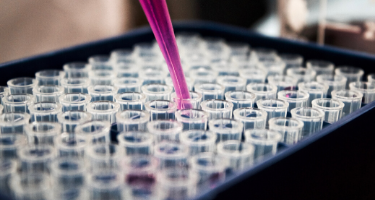 New Life Sciences Companies Operating in New York Benefiting from New R&D Credit image Article Image
