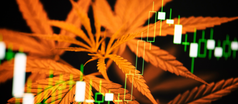 cannabis financials