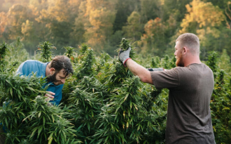 New Jersey Update on Recreational Cannabis: The First Set of Rules image Article Image
