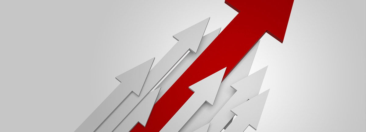 Disclaim or Release? Using the Transfer Tax Exemption image Article Image