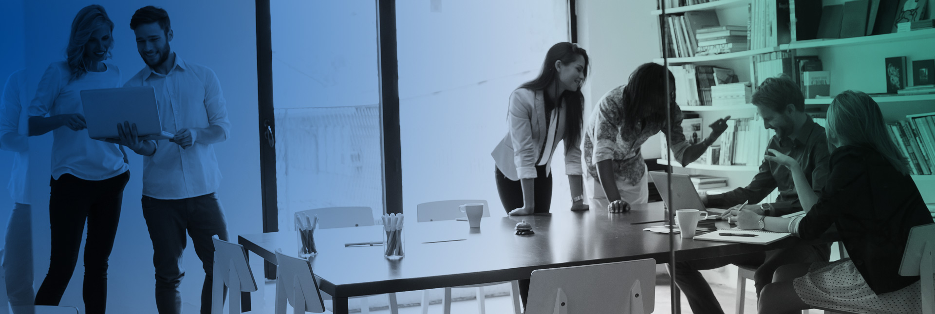 Professional-Services