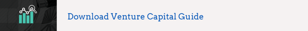 Download Venture Capital Guide