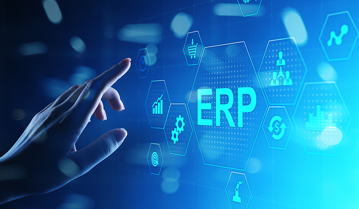 ERP Inventory Management Processes Guide