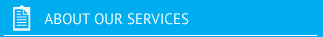 About our Professional Services