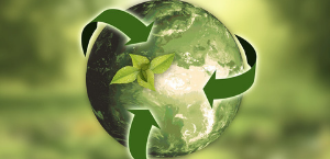 Driving Business Through Sustainability - June 2018 sustainability