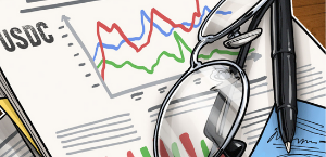 stablecoin audit