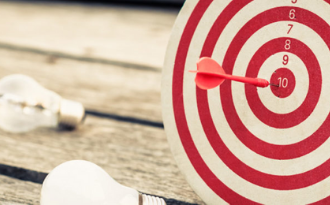 audit target