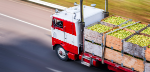 food manufacturing and distribution