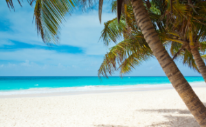 On-Demand Webinar: Relocating Your Business to Florida relocating to florida