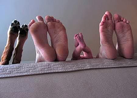 dogs-r-family