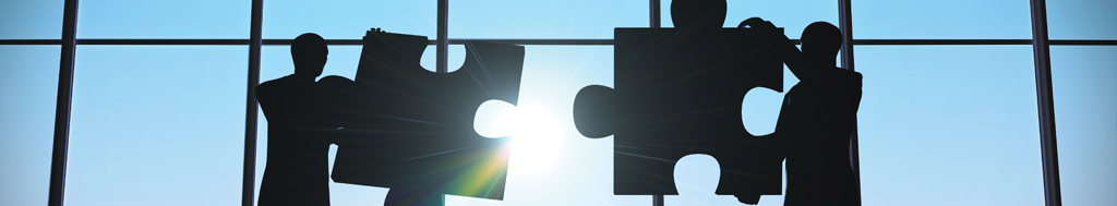 Areas of Dispute in Business Valuation: How to “Work” the Value