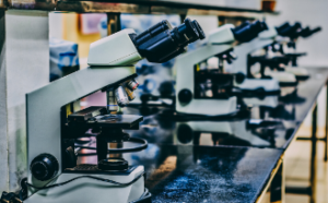 microscope