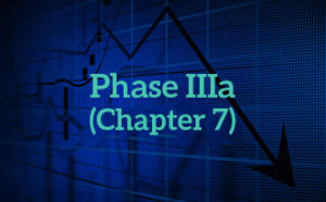 bankruptcy chapter 7 -phase iiia
