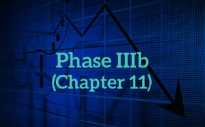 bankruptcy phase IIIb - chapter 11