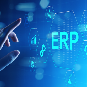 ERP software implementation