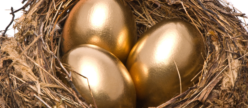 golden eggs in nest
