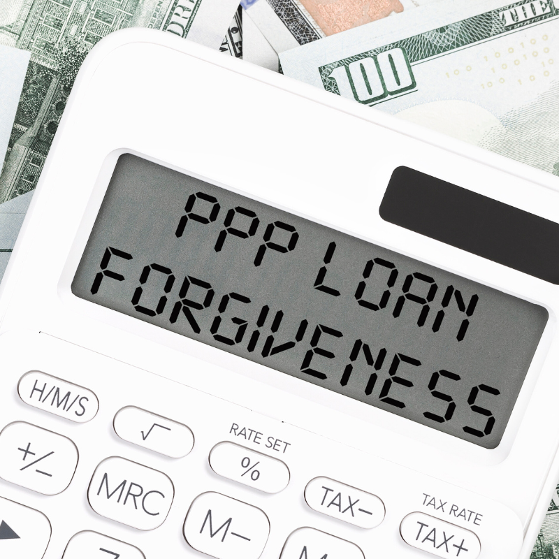 PPP Kredi Bağışlamanın Dolaylı Maliyet Oranı Üzerindeki Etkisi