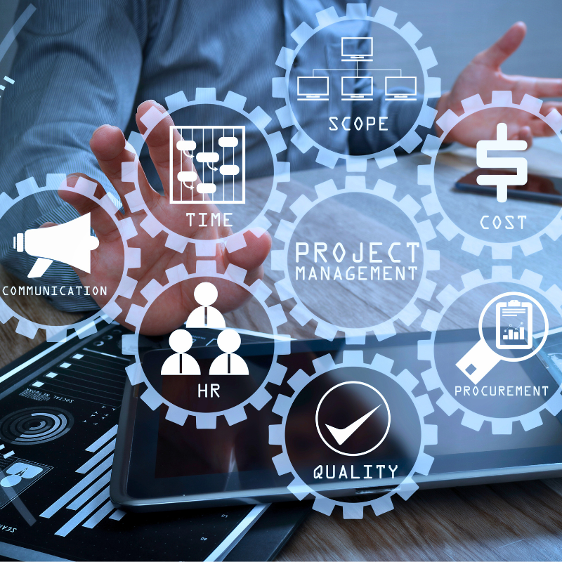 Project Manager's success strategy.