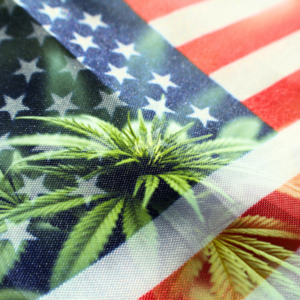 cannabis leaf of us flag