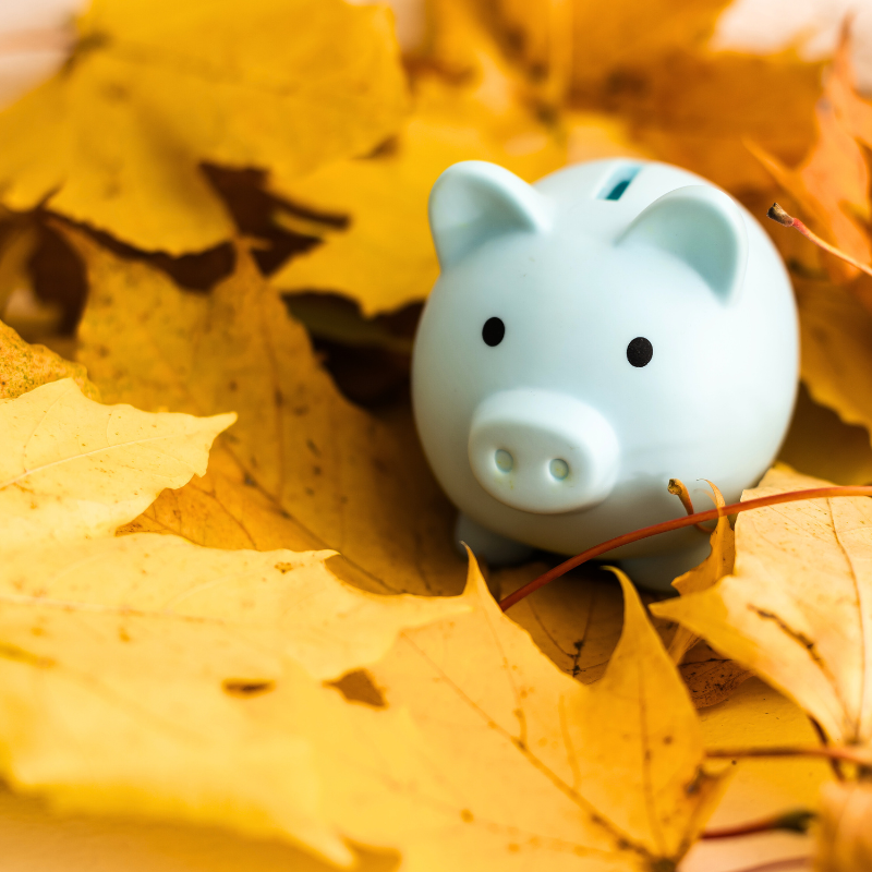piggy bank in fall leaves